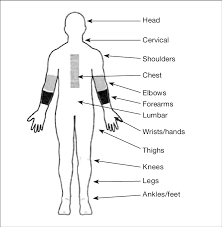 Musculoskeletal